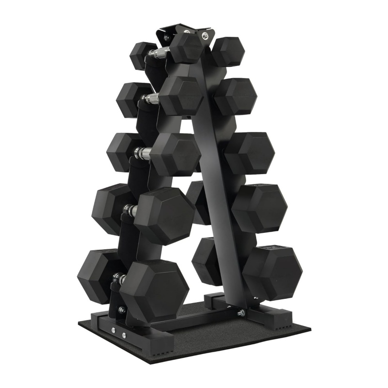 Home Gym Exercise Strength Tra - Home Gym Dumbbell Set ulasan dan harga